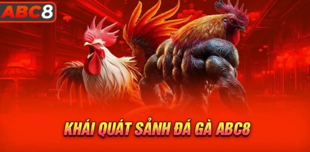 Đá Gà ABC8