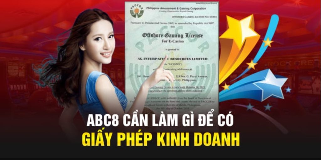 Tổng hợp giấy phép kinh doanh ABC8 sở hữu