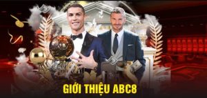 Đôi nét giới thiệu ABC8